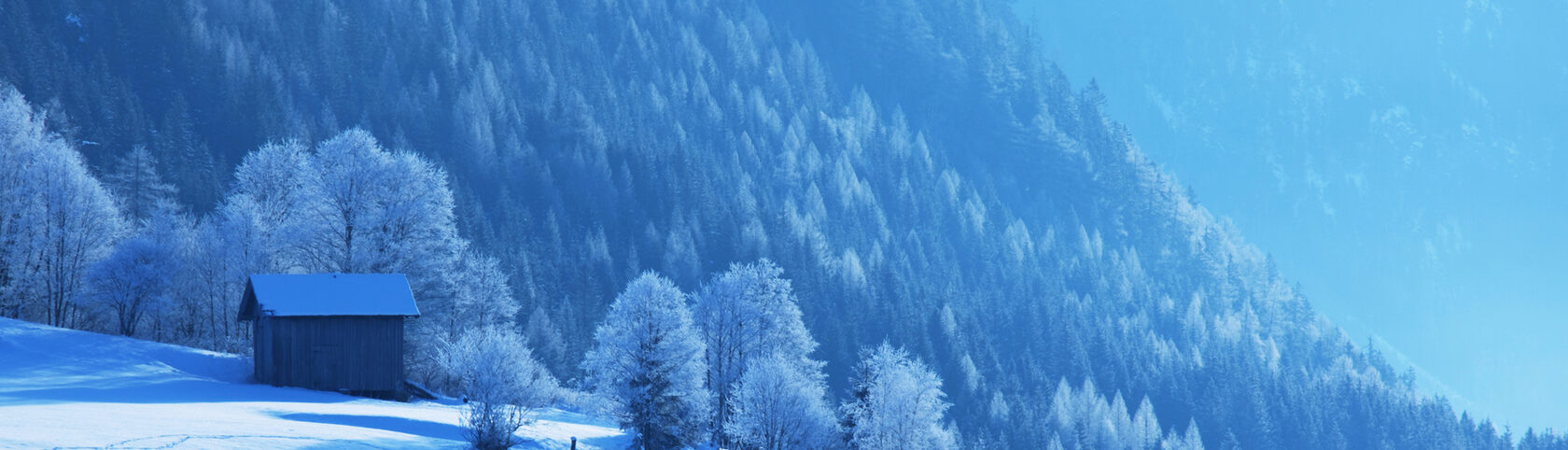 Waarmee kan ik jouw bedrijf helpen?